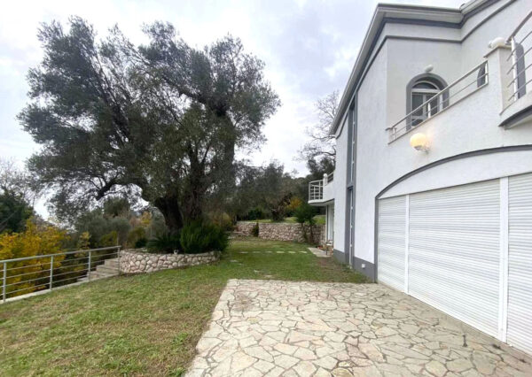 enovia real estate sutomore 5