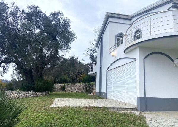enovia real estate sutomore 6